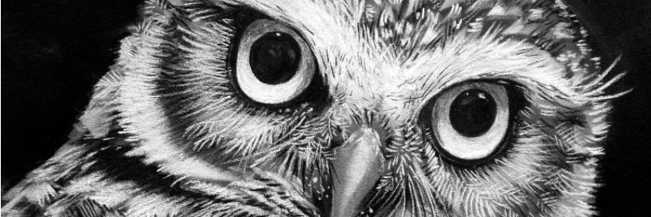 Shamseddeen's profile banner image