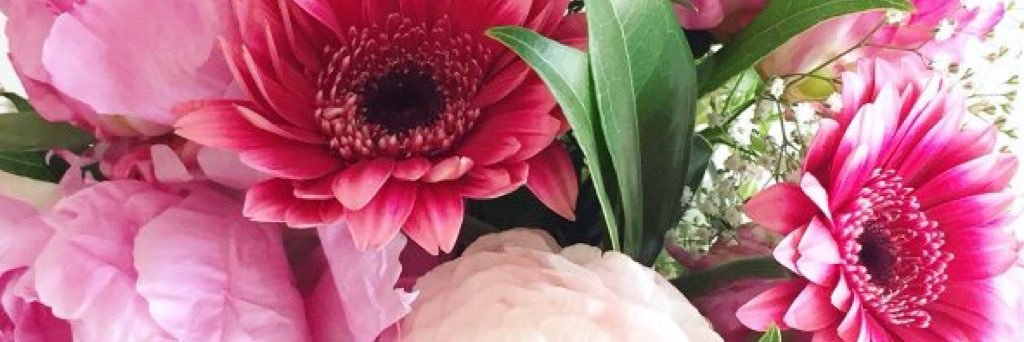 heathercis's profile banner image