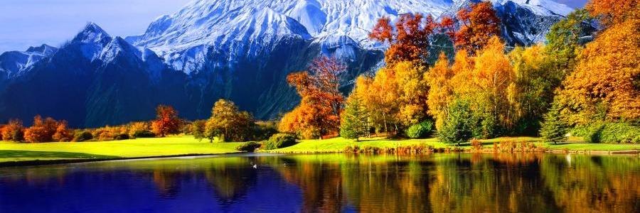 JonasHammar1's profile banner image