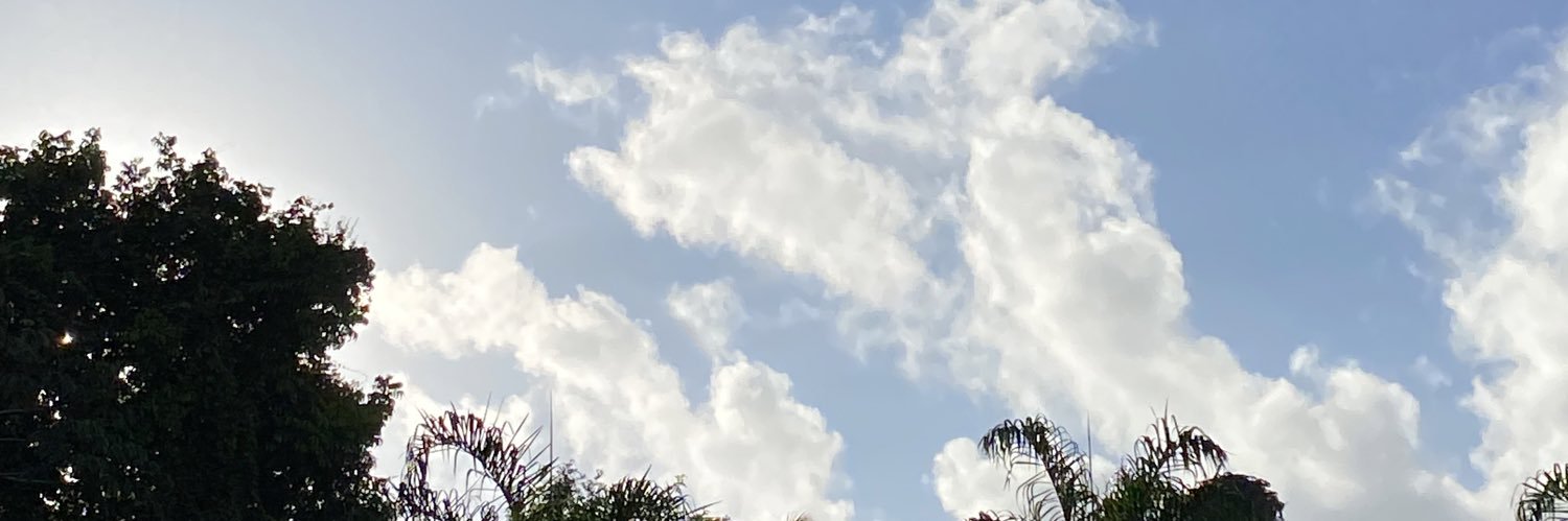 Nick 🌪️ banner