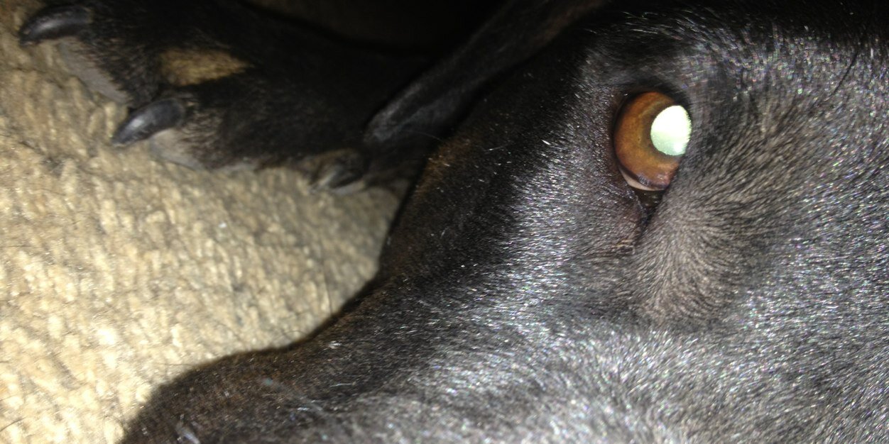 Dlee_v2's profile banner image