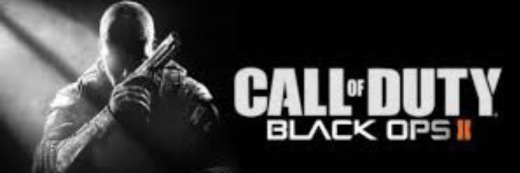 vic 🇫🇷 🇵🇱 🐻 banner