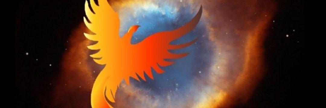 delfina_11's profile banner image