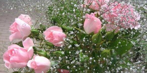 griselda monica pesc banner