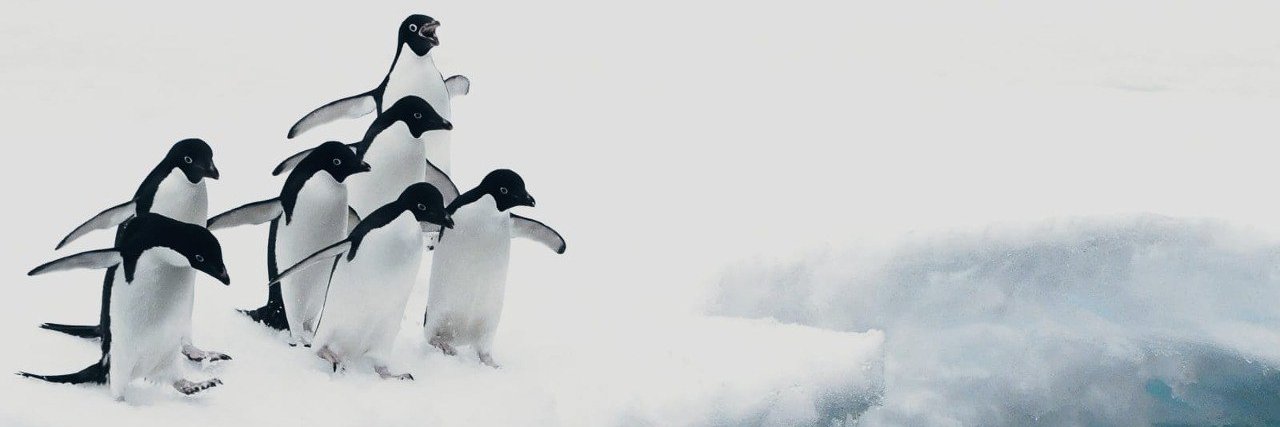 Vittalev ⚡️ banner