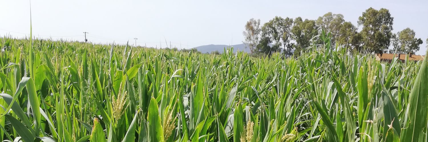 agri_pec's profile banner image