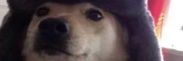 GasparURSS's profile banner image