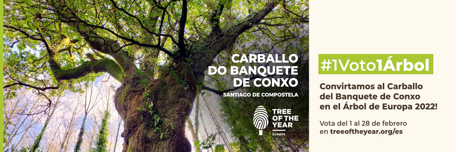 Carballo Banquete de Conxo banner