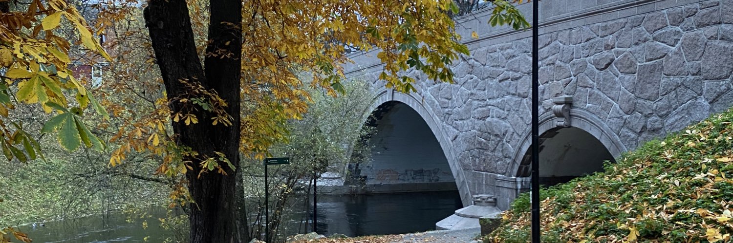 Steffen R. M. Sørum banner