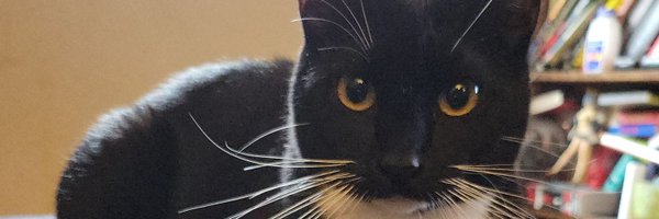 localrach Profile Banner