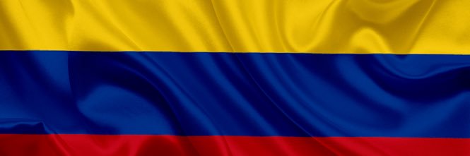 TPEDROZAURO's profile banner image
