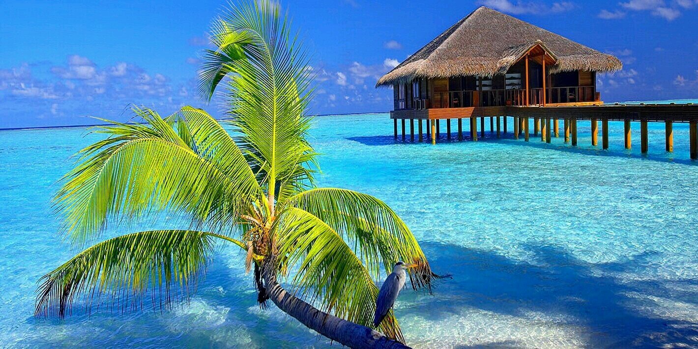 EinsteinSurfer 🏄‍♂️🏝 banner