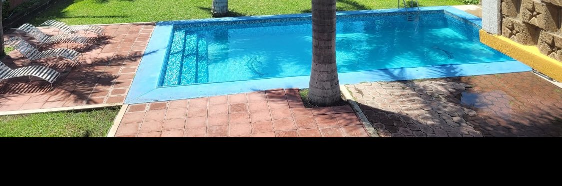 single 20cm temixco banner