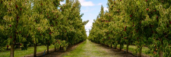 HortNZ Profile Banner