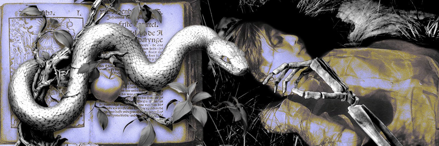 †ᅠ​ ᅠ ᅠ ᅠ ᅠ ᅠ ᅠ ᅠ ᅠ ᅠ ᅠ ᅠᅠ ᅠ ᅠ ᅠ ᅠᅠ ᅠ ᅠ𝑛𝘪𝘬𝘰𝘴． banner