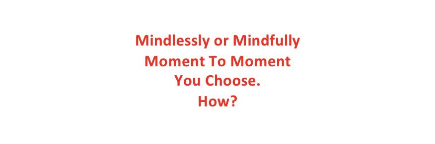 Barnaby Spring banner