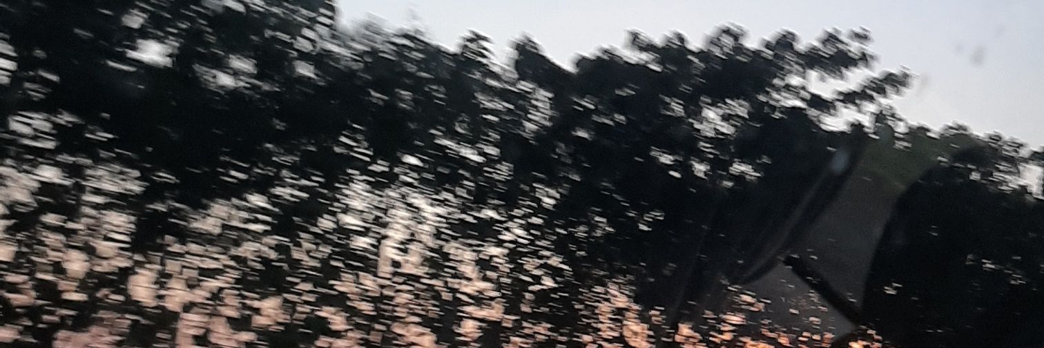 💗 banner