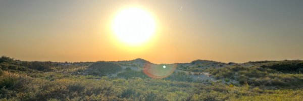 Tungdil1981 Profile Banner