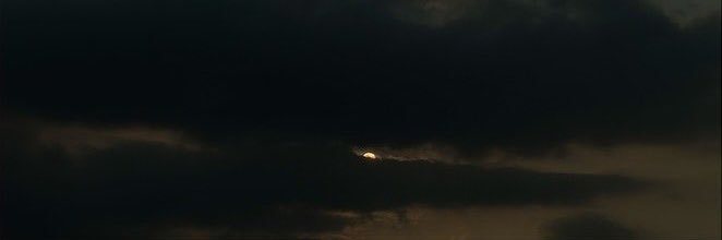 karl. banner