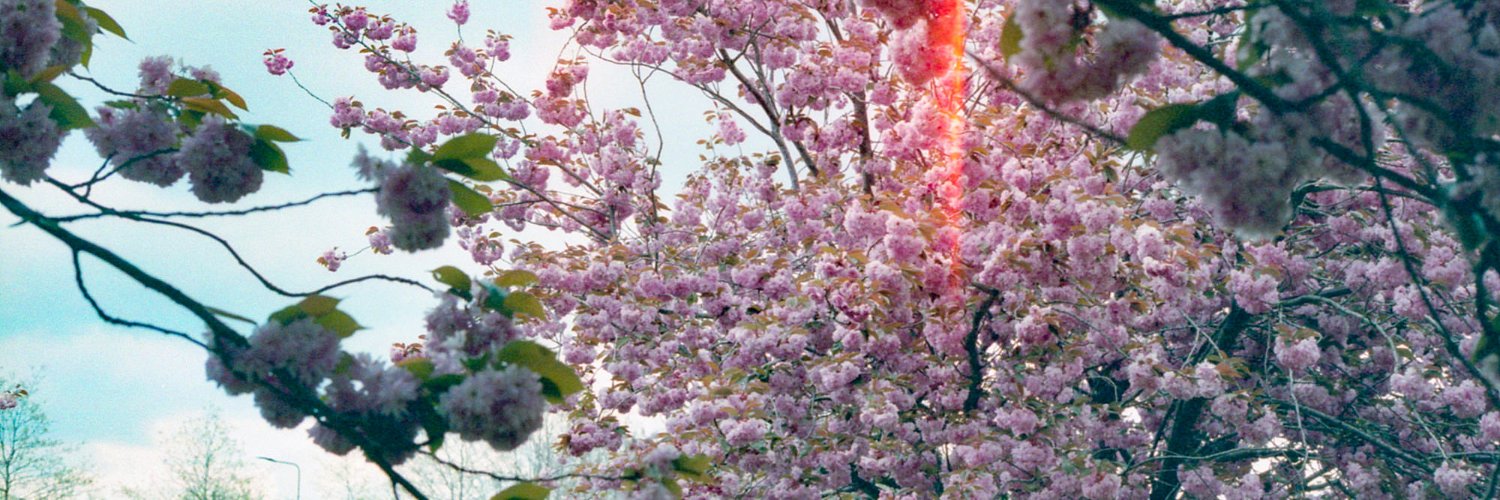 ciselering's profile banner image