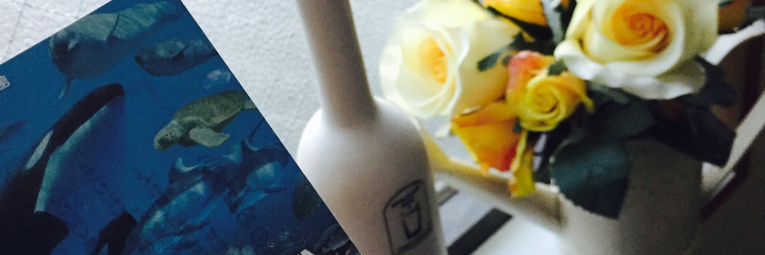 suzy_dora's profile banner image