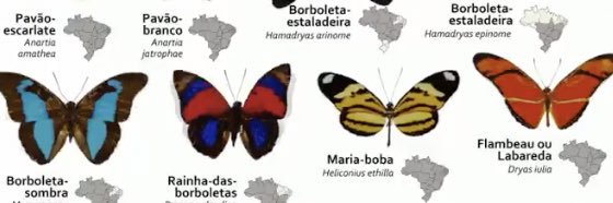 _bbantunes's profile banner image