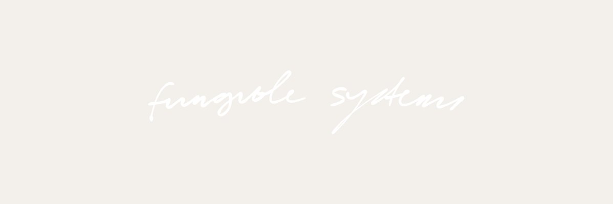 fungible.systems banner