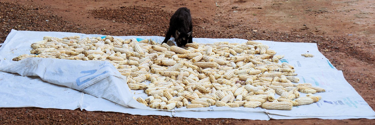 Tristan Eagling banner