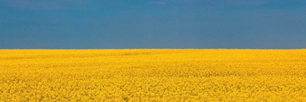 OnlineGenGuy Profile Banner