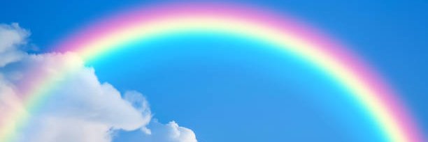 Mrs. Marshall banner