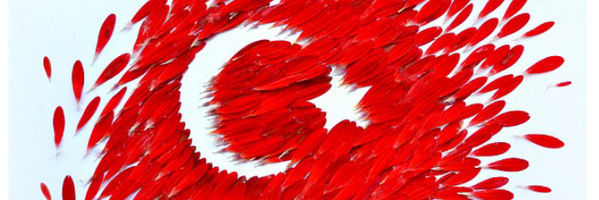erdalseker52's profile banner image