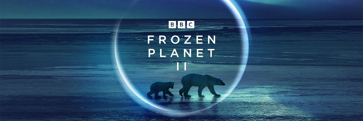 Florian Ledoux banner