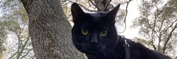 PumaBaker Profile Banner