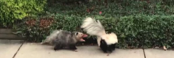 HelloDouglasY Profile Banner