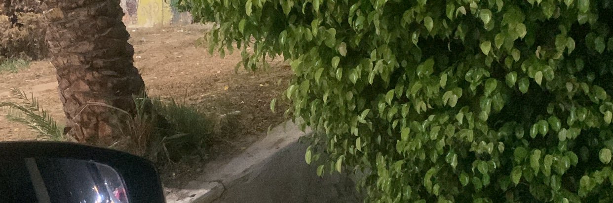 basmasadek121's profile banner image