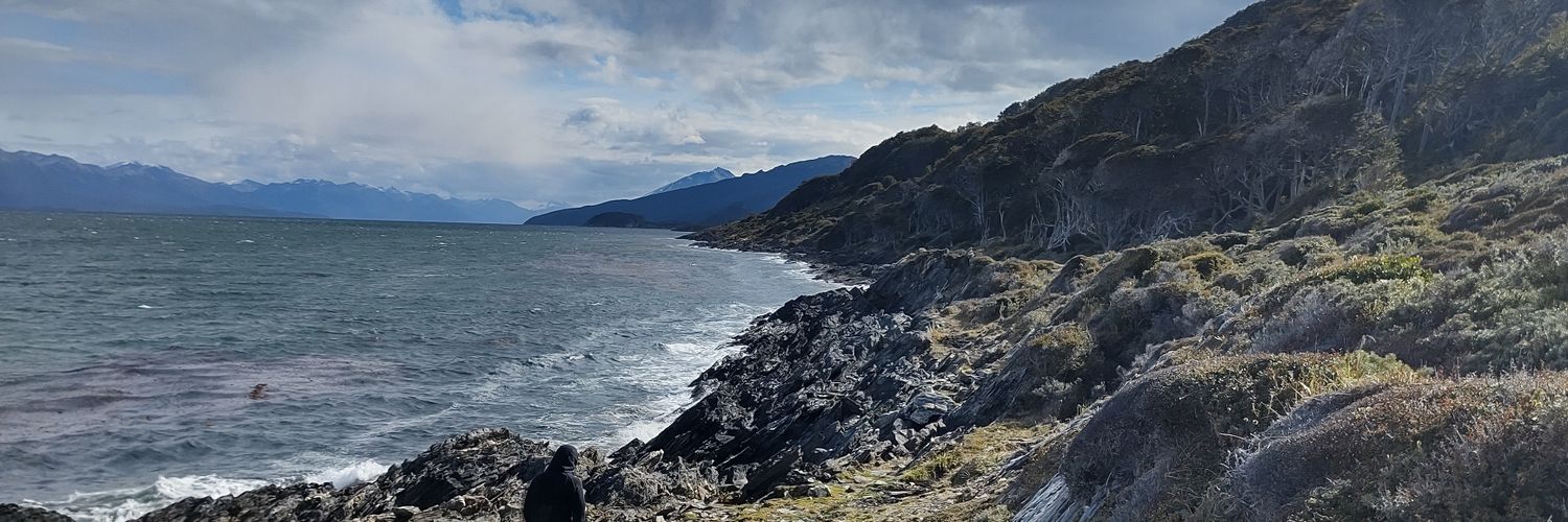 Luis Castelli banner