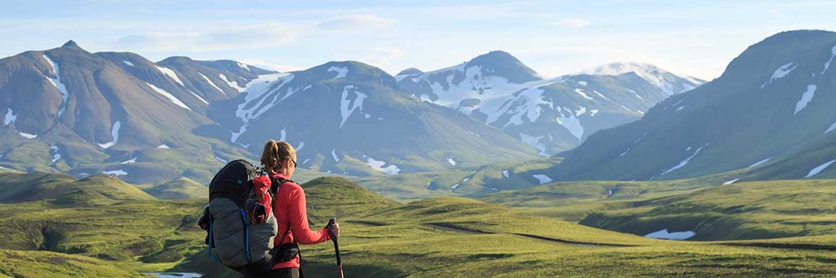 Pamela Phelps banner