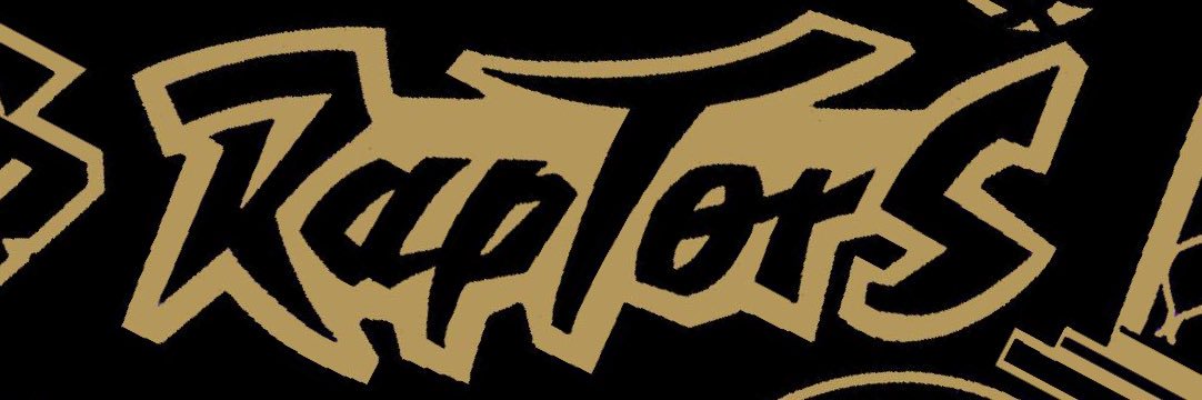 raptorbitesTO's profile banner image