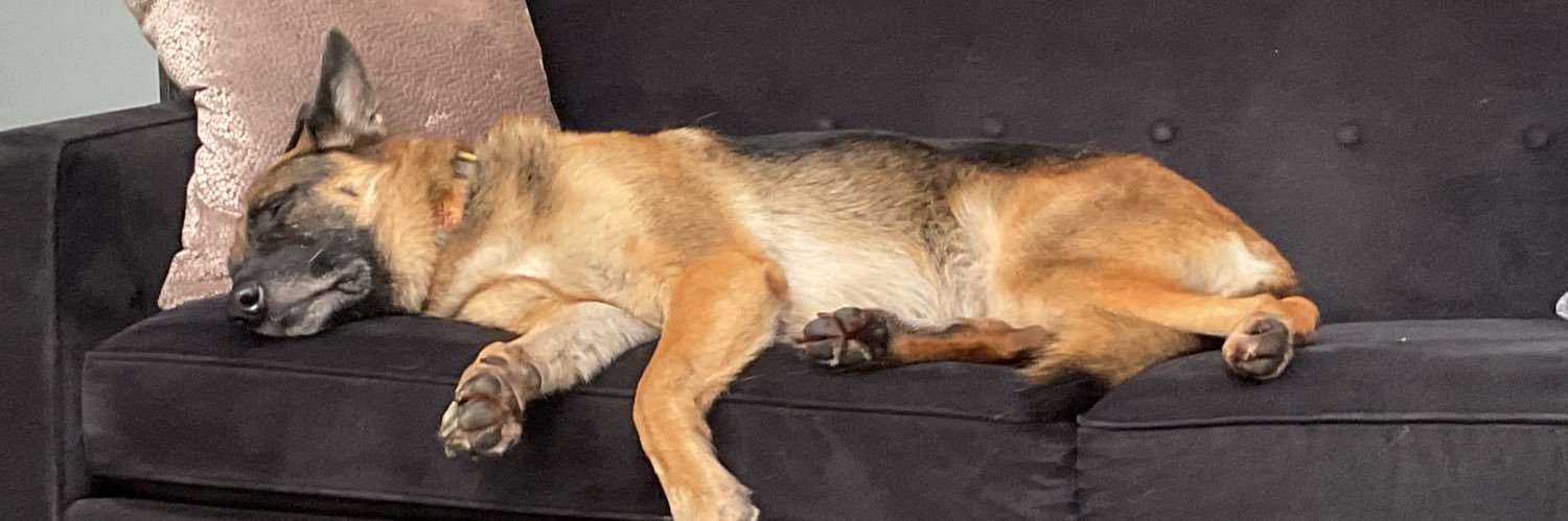 dave r. cantor banner