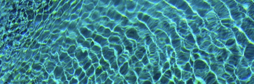 Madeline Kitzes banner