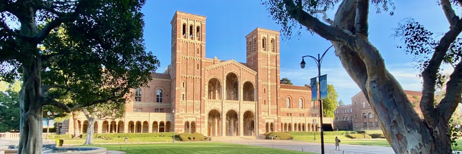 Callisto Boka banner