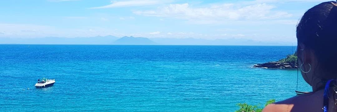 pituulina's profile banner image
