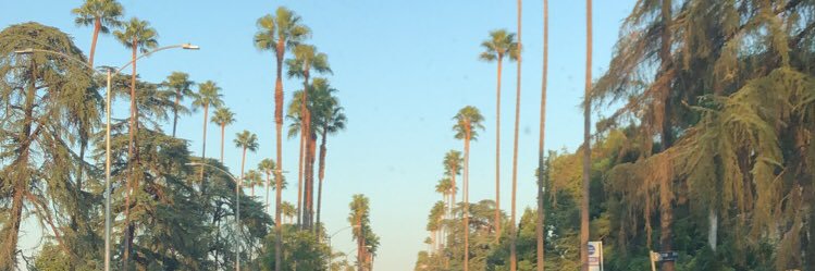 Bre 💕 banner
