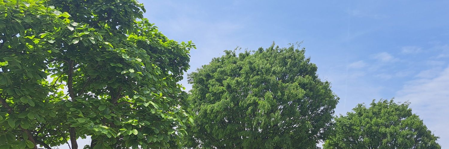 伊勢田みちこ banner