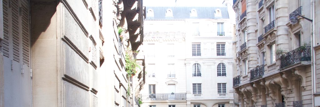 Leandleys's profile banner image