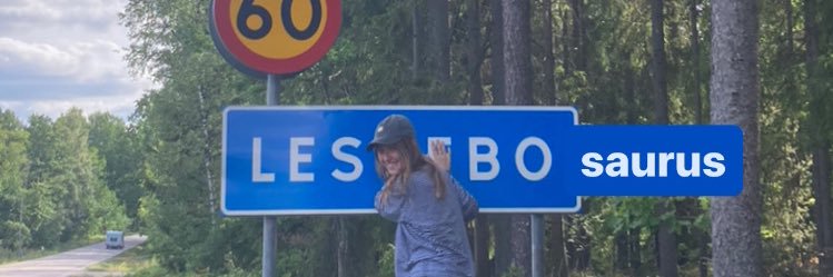 NoraZonderH's profile banner image