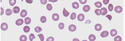 Autumn Jeong MD banner