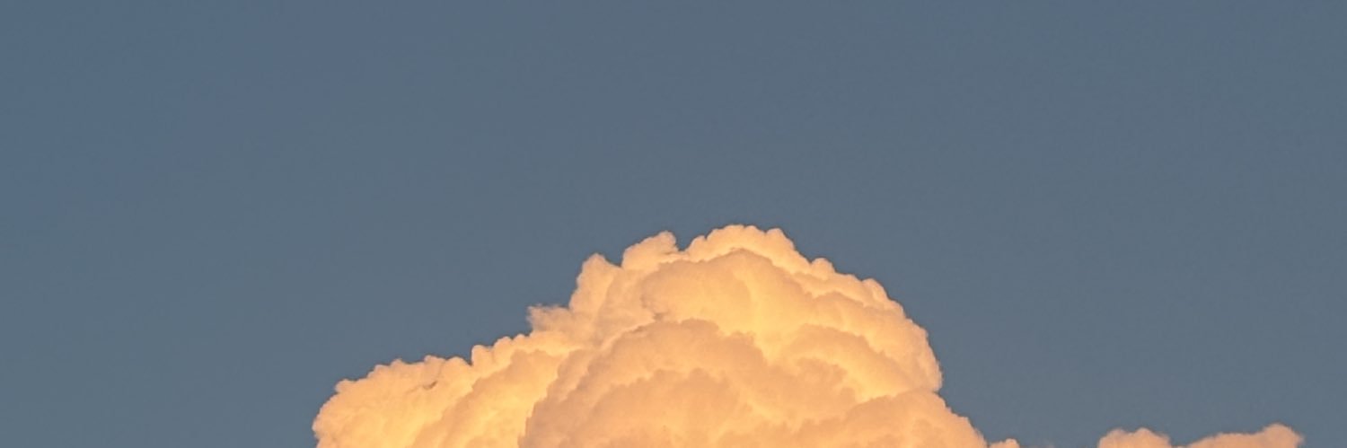 gonza banner