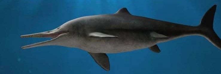 Parce Comunista banner