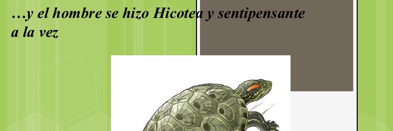 edoramirez13's profile banner image